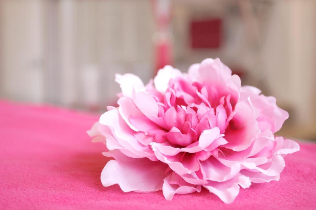 Manoir De Benerville Bed & Breakfast Deauville Luaran gambar