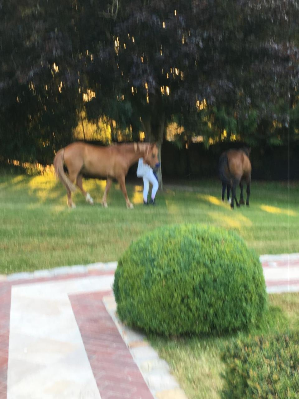 Manoir De Benerville Bed & Breakfast Deauville Luaran gambar